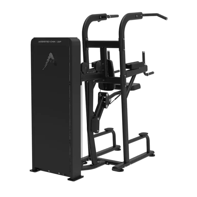 Assisted chin dip machine pin loaded systeem
