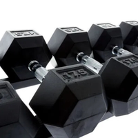 Opbergrek fitness dumbbells met rubber inlays en stevige constructie met hexagon dumbbells
