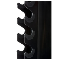 Dumbbell opbergrek compact ontwerp voor georganiseerde home gym close up