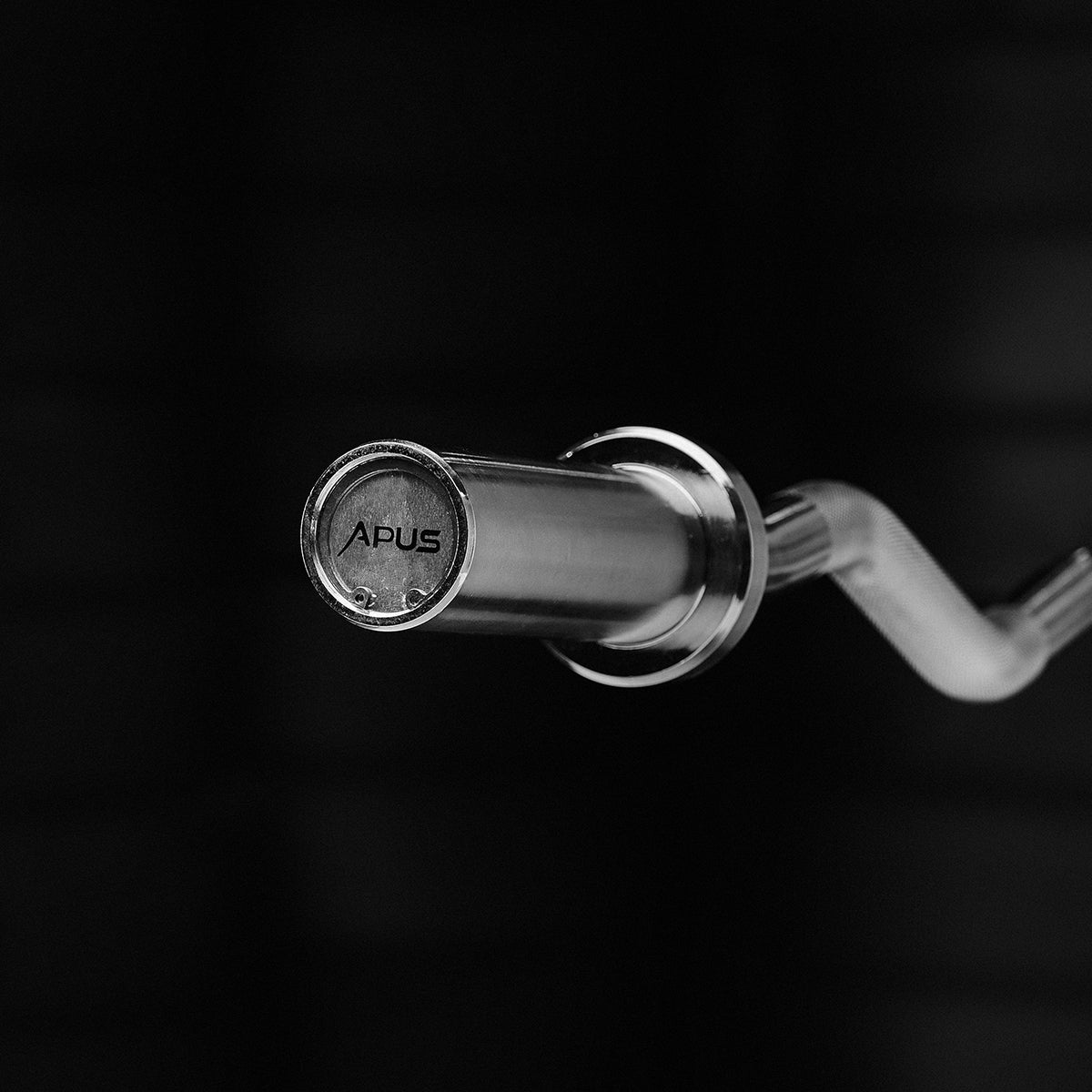 EZ curl bar halterstang met gewichten voor armtraining close up